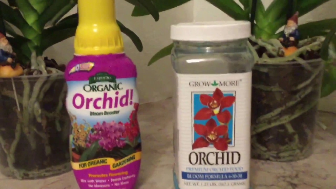 orquideas fertilizantes para la  floracion
