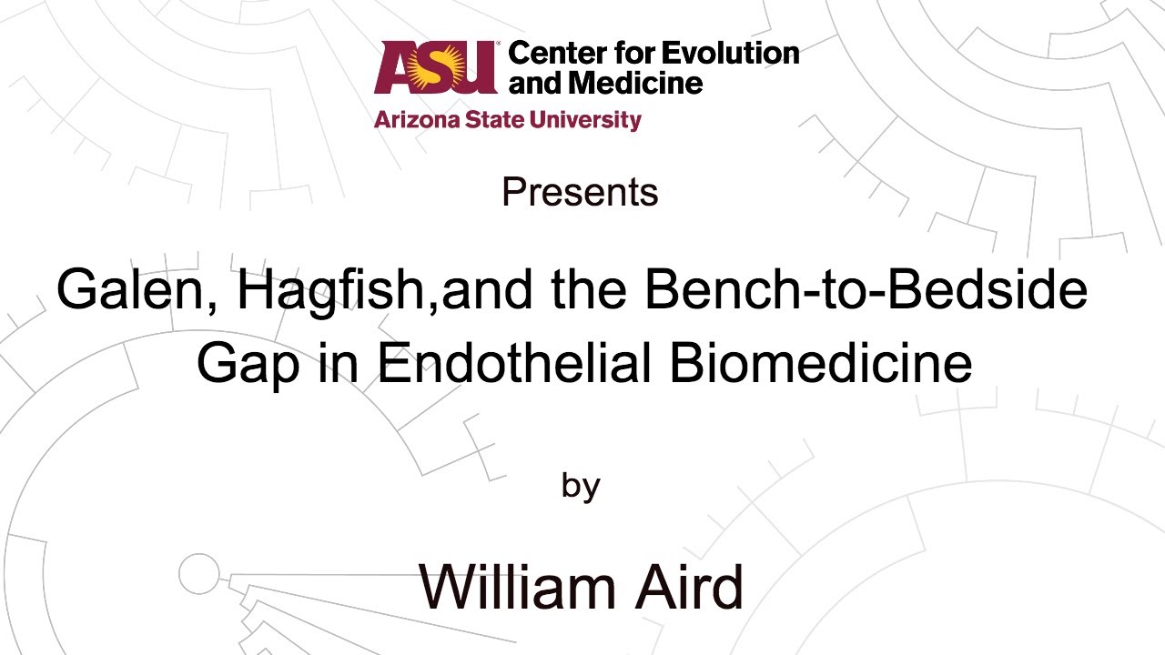 Galen, Hagfish,and the Bench-to-Bedside Gap in Endothelial Biomedicine | William Aird