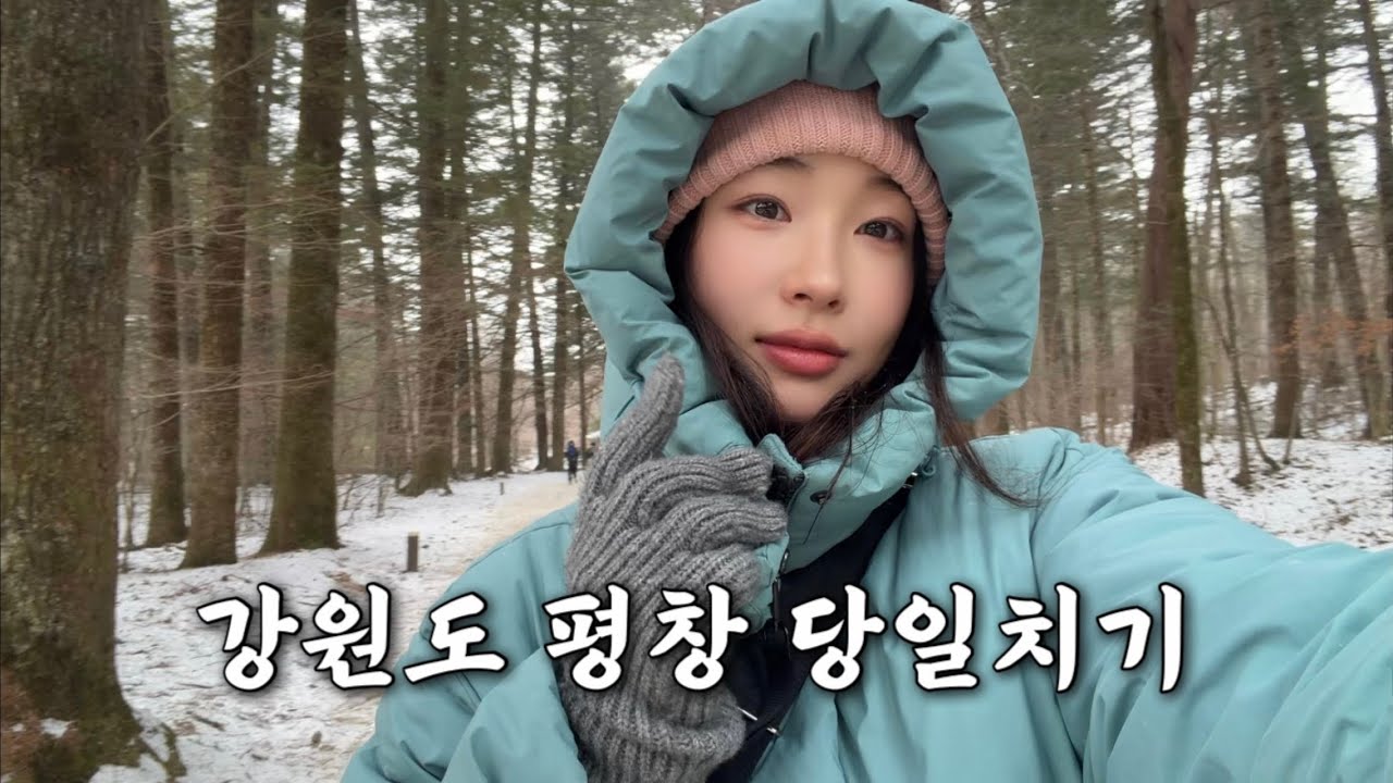 강원도 평창 당일치기 브이로그🌲❄️월정사전나무숲길, 푸딩 맛집, 삼양목장
