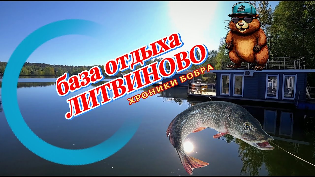Литвиново