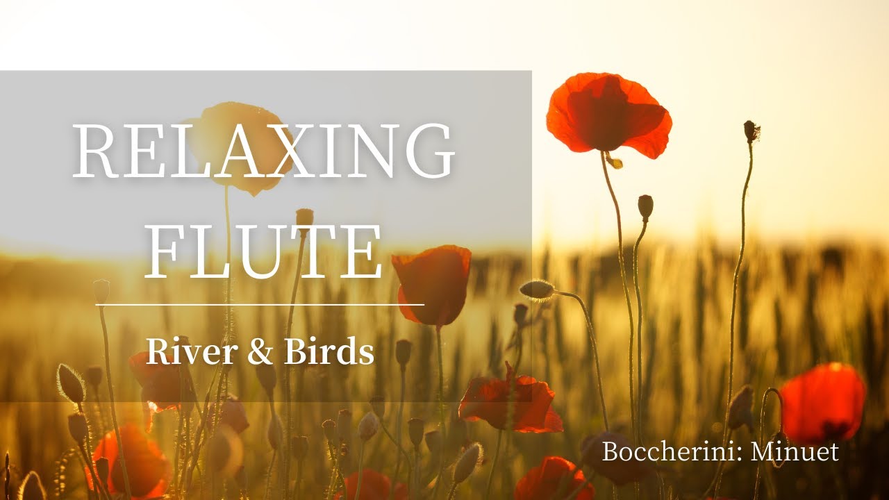 1 Hour Relaxing Flute Music with River & Birds | Boccherini: Minuet in E Major