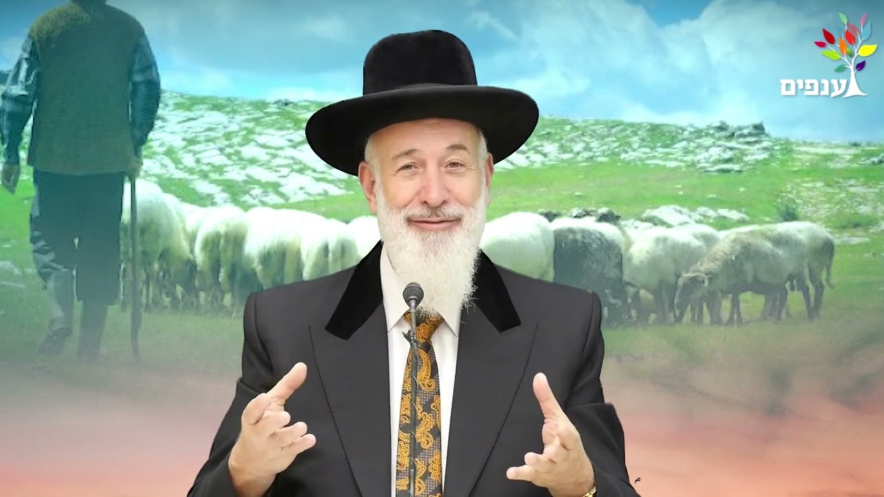 הרב יונה מצגר | פרשת פנחס - מסירות הנפש של החפץ חיים!