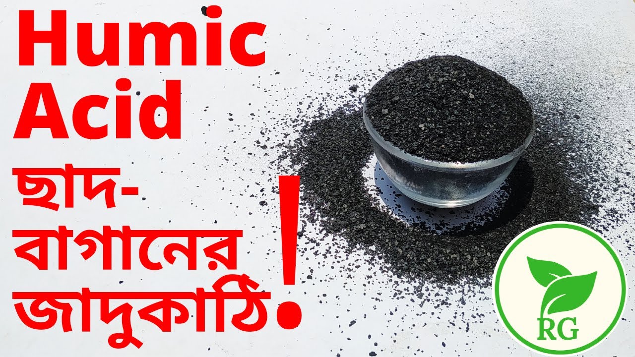 Give humic acid to plants, magic will happen in the garden | What is Humic Acid | Benefits of Hum...