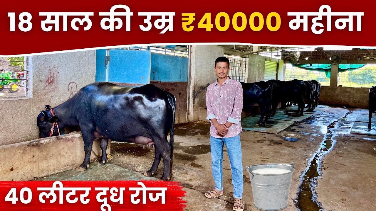 18 साल का लड़का | Dairy Farm से ₹40,000 महीना | सच क्या है ?