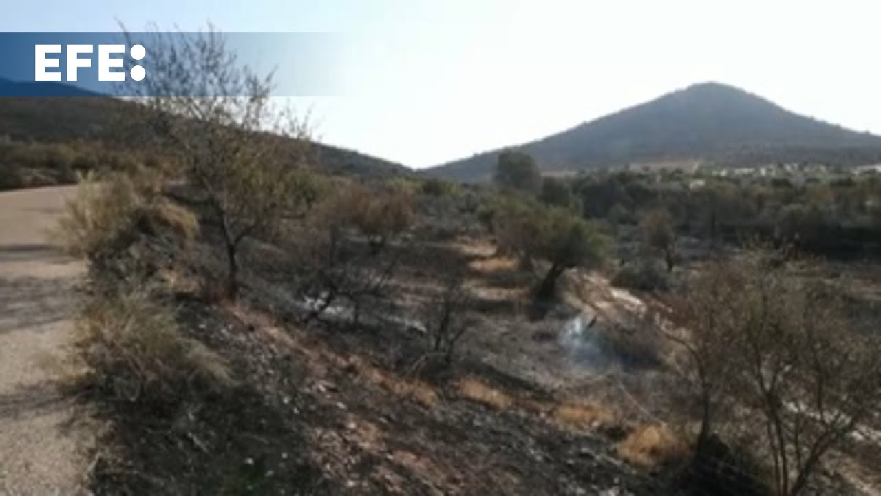 Estabilizado el incendio de La Estrella (Toledo)
