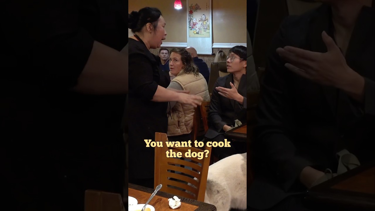 Bringing Dogs to a Chinese Restaurant so they can cook them prank