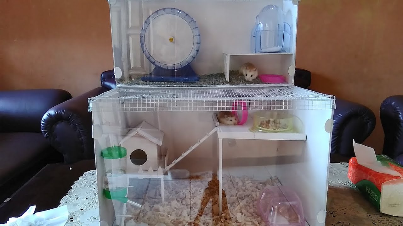Tutorial Membuat Kandang Hamster dari papan MDF