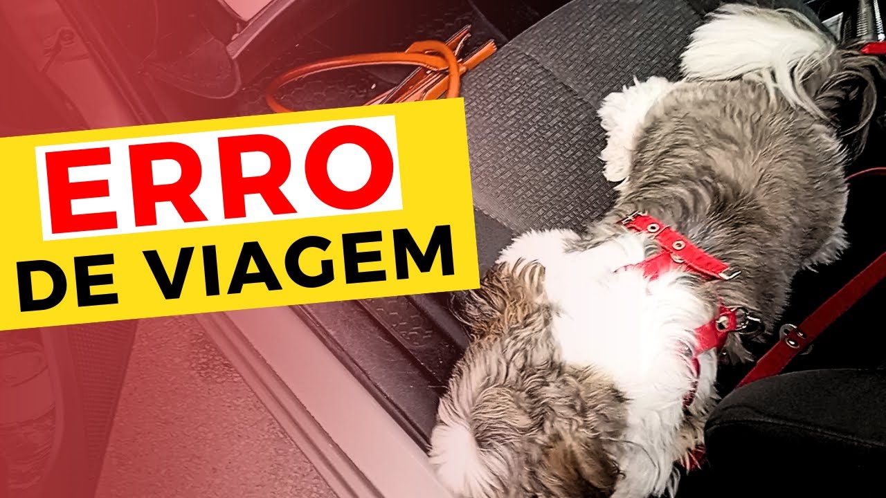 🚗ANTES de VIAJAR com Seu PET,  Veja Isso! 🐶
