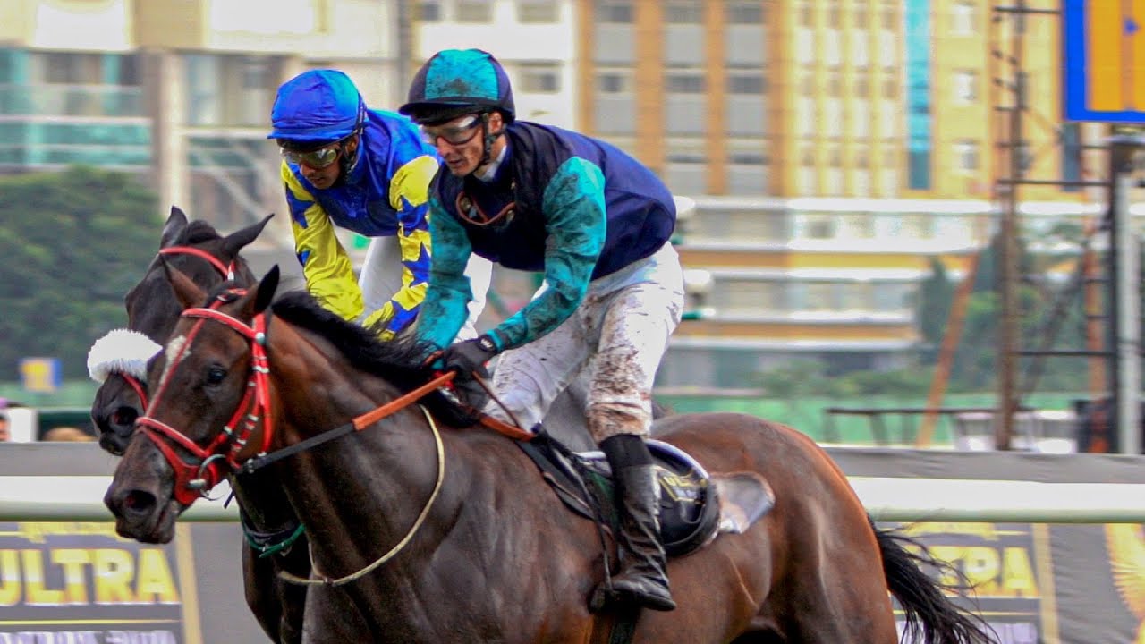 BANGALORE DERBY WINNER 2019 | Well Connected