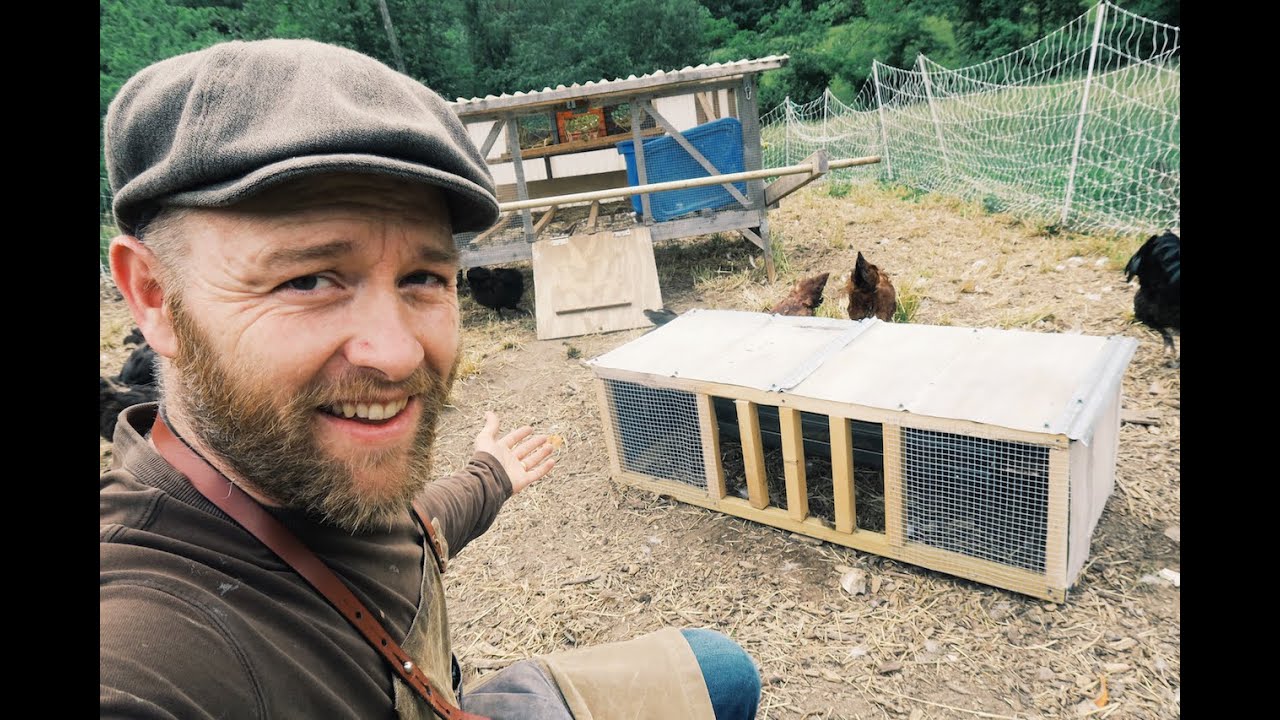 How to keep BIG Chickens out of the Chick feed