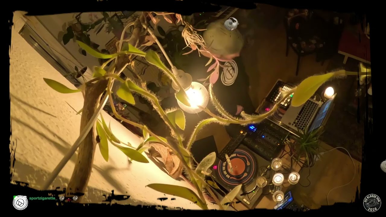 Q-Cut - Qualitytime with Dezi-Belle (Beatset)