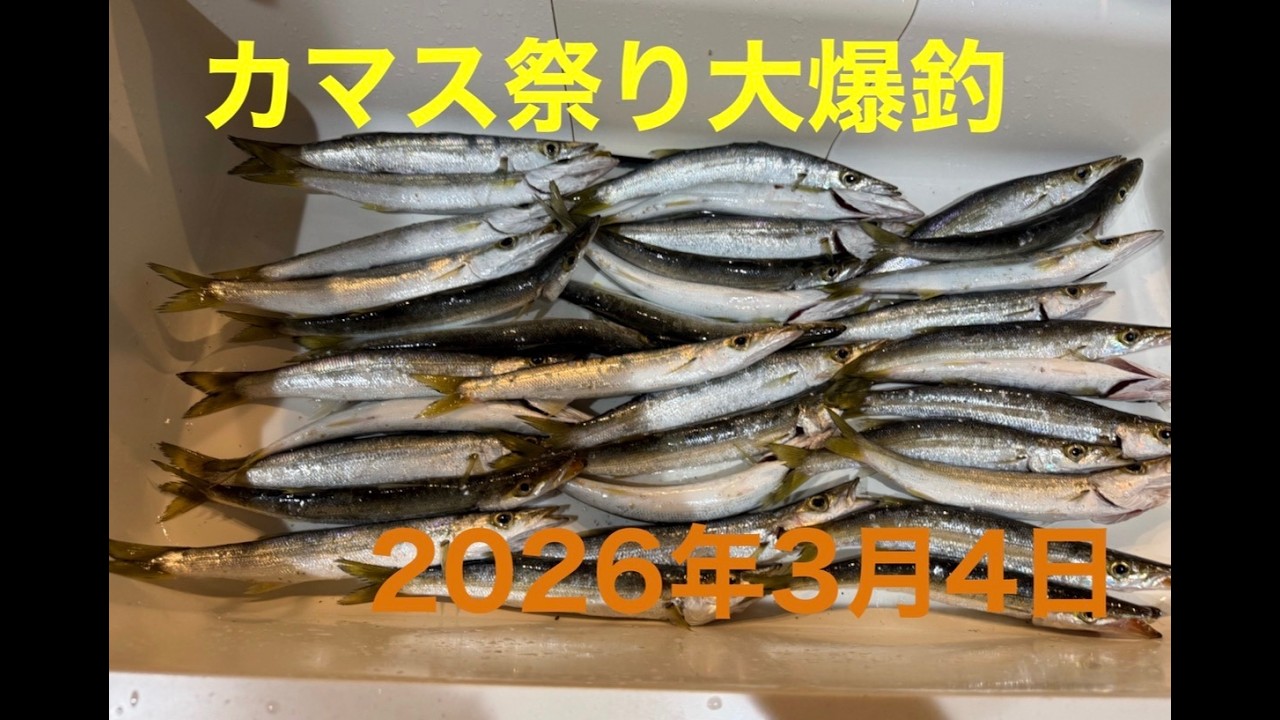 【千葉カマス祭り】地元の方に仕掛けのポイントを教わったら大爆釣  2025/3/4