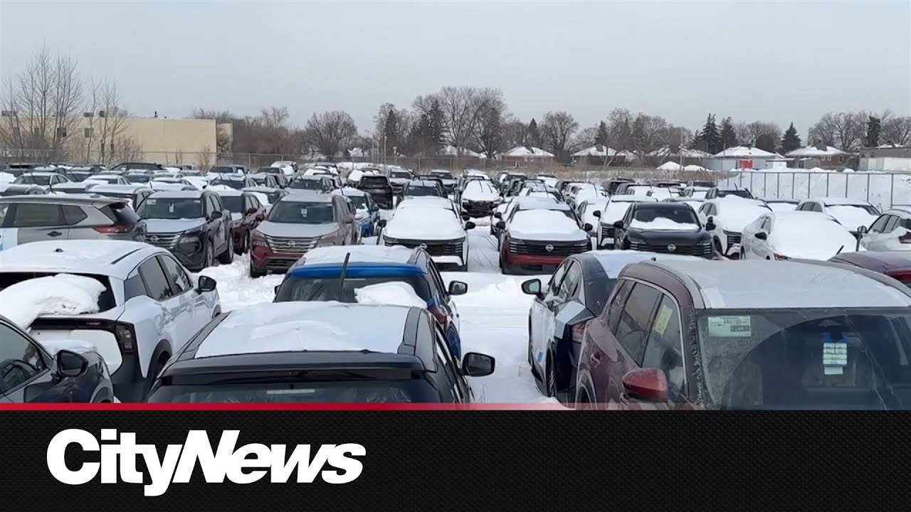 Canadian government cracks down on auto thefts, sees positive results