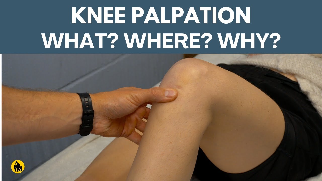 Palpation Of The Knee Joint