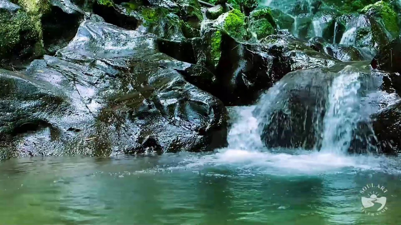 River Sounds & waterfall Sounds for Sleeping | Nature Stream for Relaxing & Stress Relief. #river 3