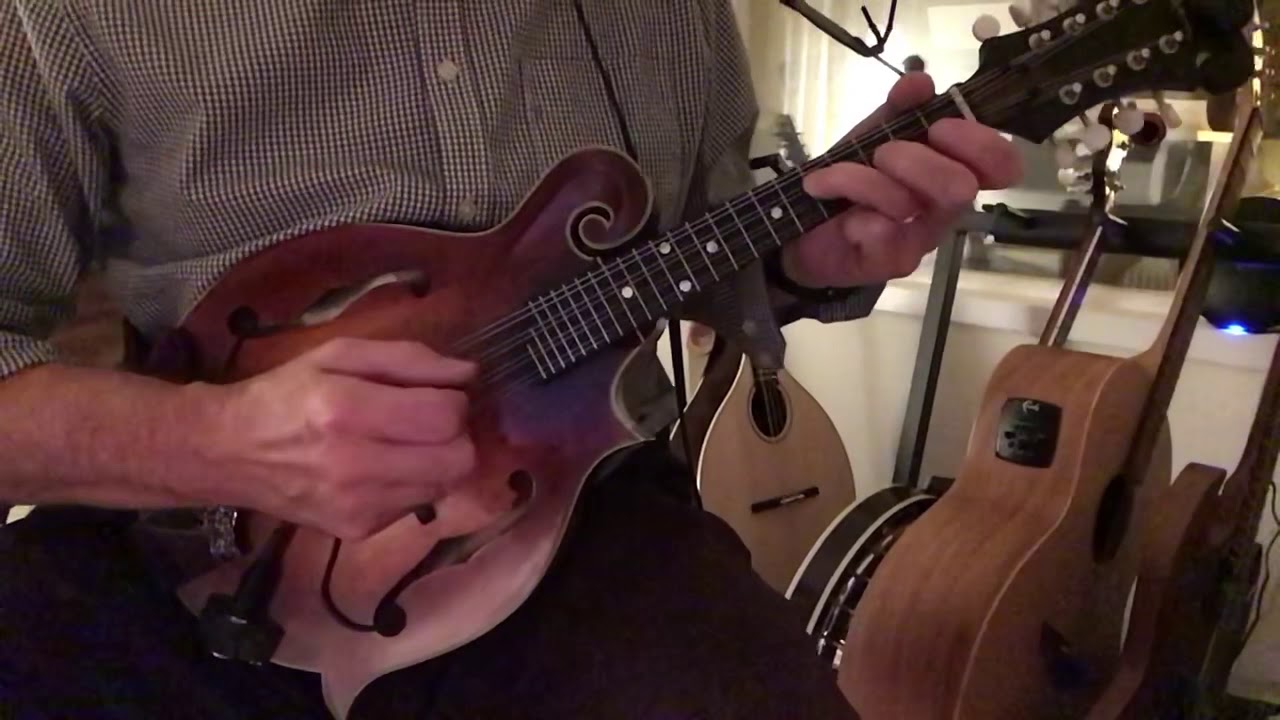 From Galway to Dublin - Mandolin, Tenor Mandola