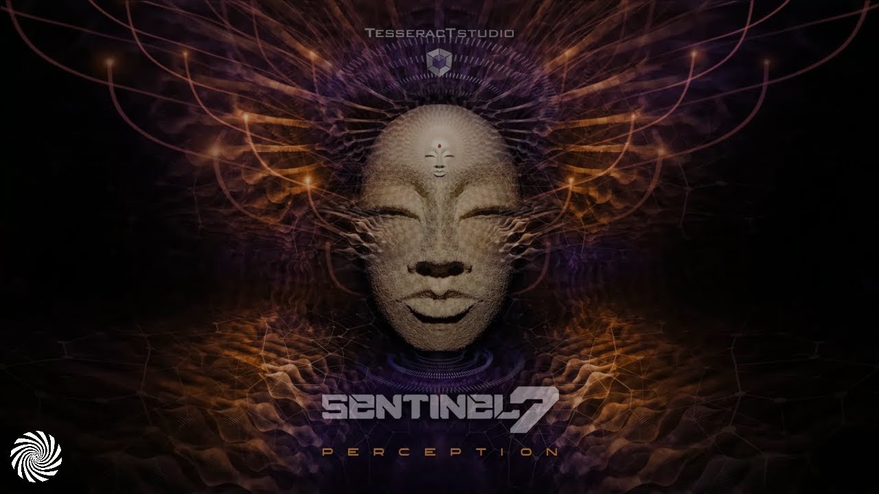 Sentinel 7 - Perception