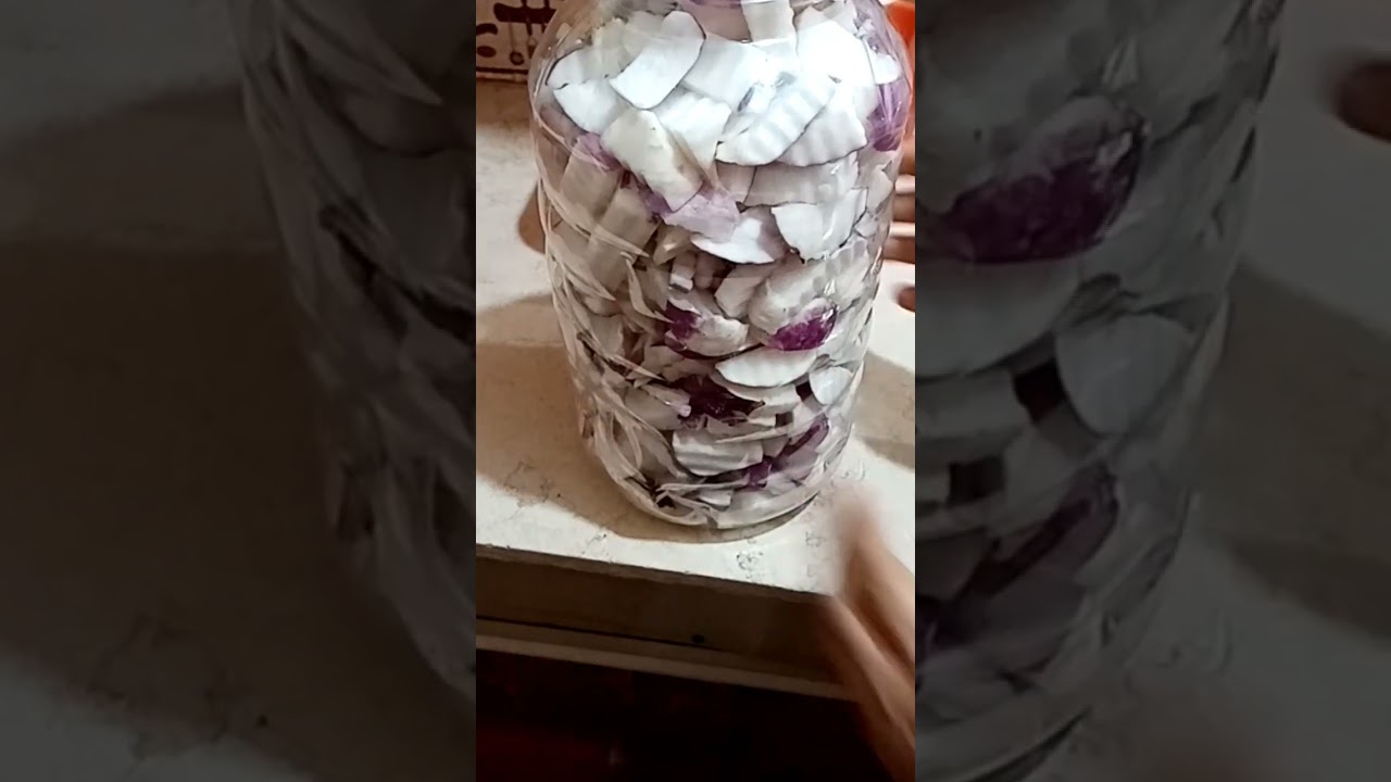 مخلل اللفت العالمي فاتح الشهية لاكلات الشتا😋😋