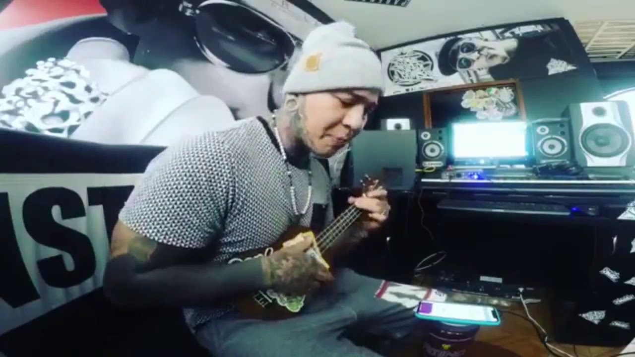 Stan mc ukelele