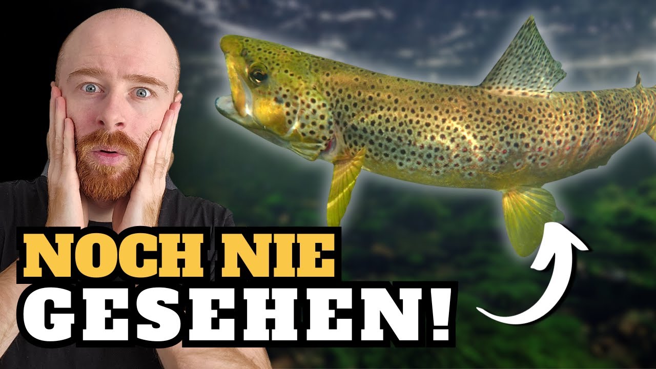 Noch nie habe ich DIESES TIER gesehen..... BIS JETZT! | Rasa'sWelt