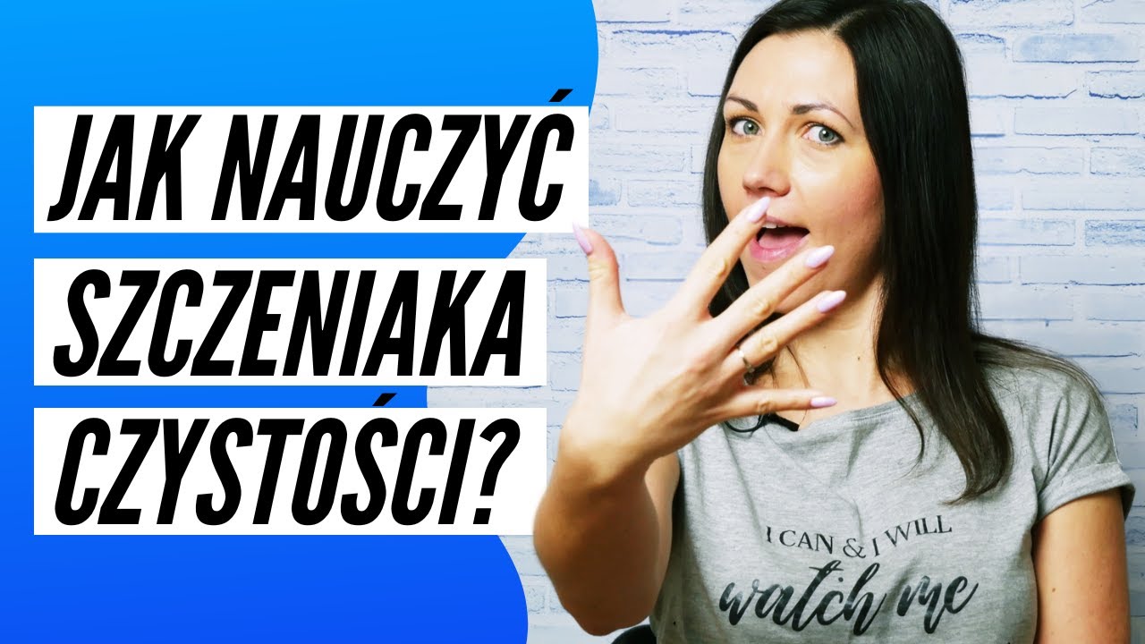 Jak nauczyć SZCZENIAKA czystośći? 5 prostych kroków