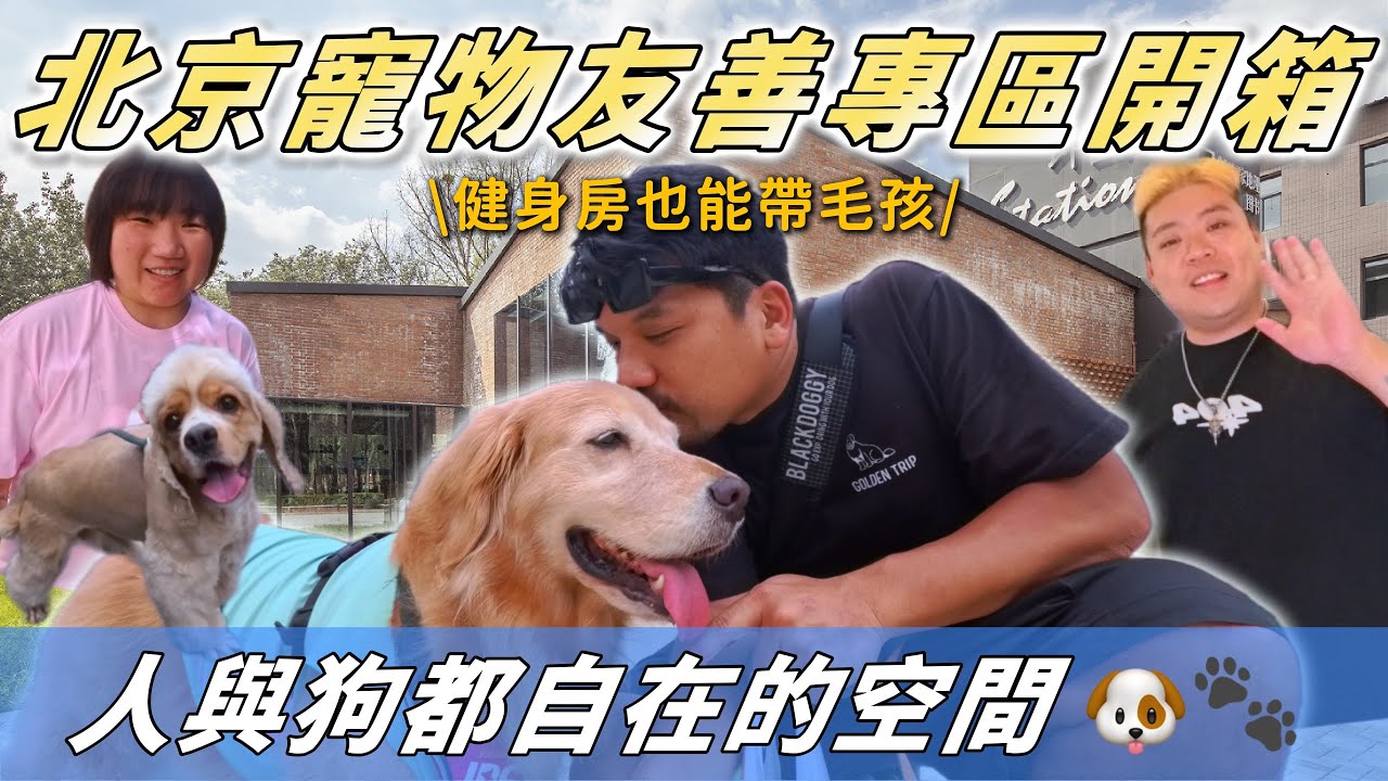 帶黃金闖北京✨第一次體驗寵物友善健身房🐶【PET IN BEIJING PART 2】