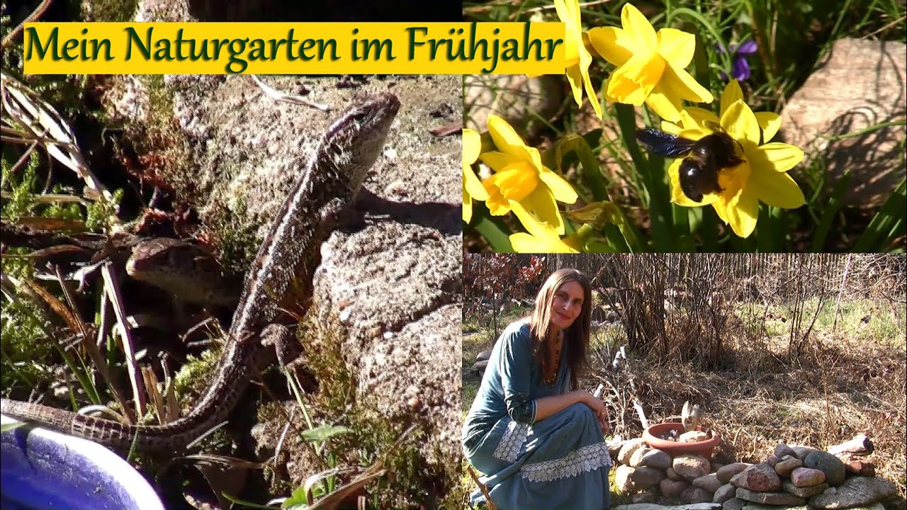 Mein Naturgarten im Frühjahr