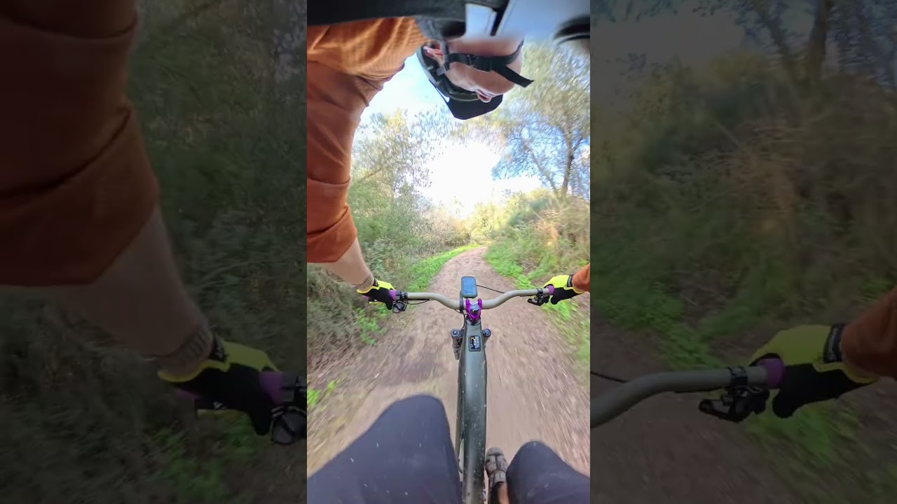Hazorea aggressive Downhill | February 2026