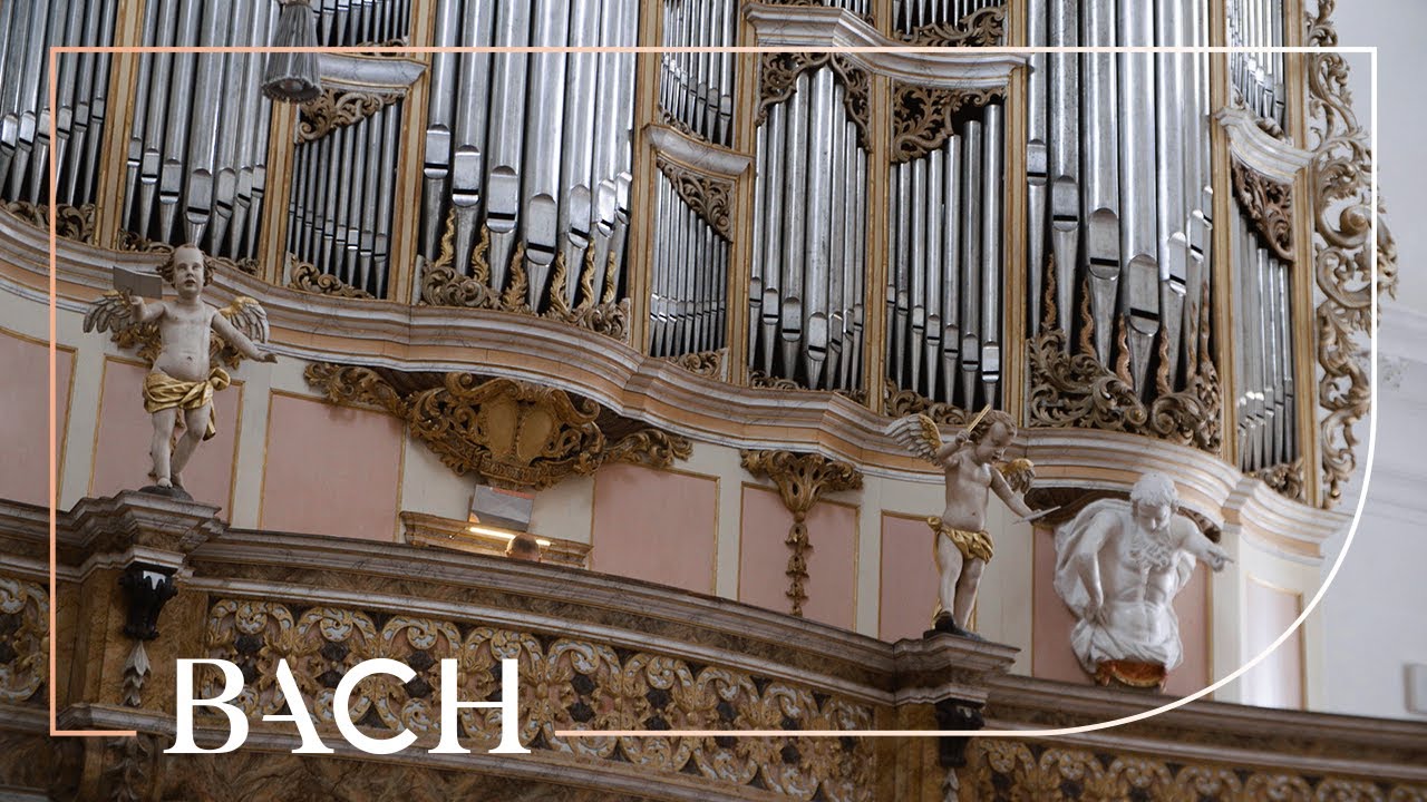 Bach - Liebster Jesu, wir sind hier BWV 731 - Wiersinga | Netherlands Bach Society