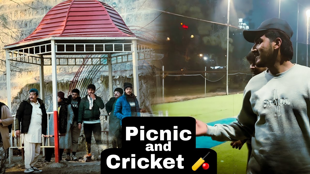 Picnic without any planning or match bhi har ga#snow #crew #vlog #trave #funny #cricket #viralvideo 