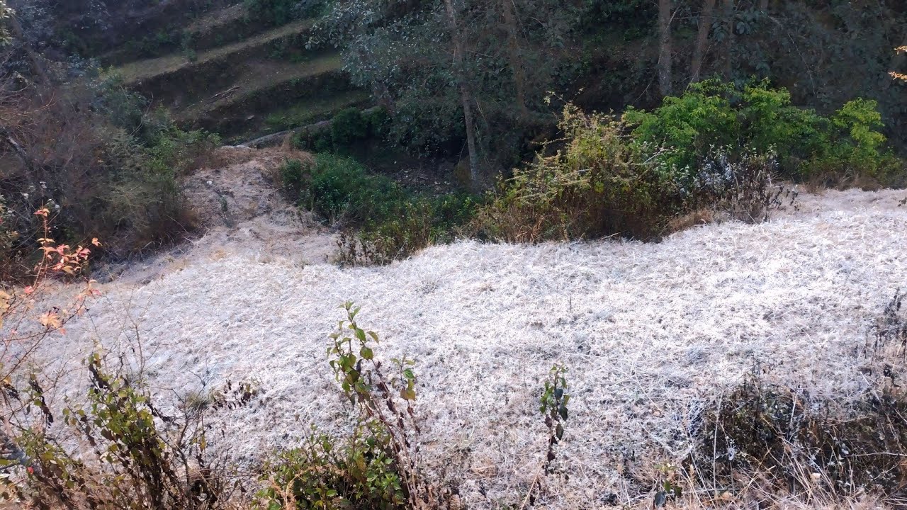 तुषारोले ढाकेको चिसो बिहान ❄️ | गाउँको शान्त वातावरण र जाडोको वास्तविक अनुभूति😍🤩