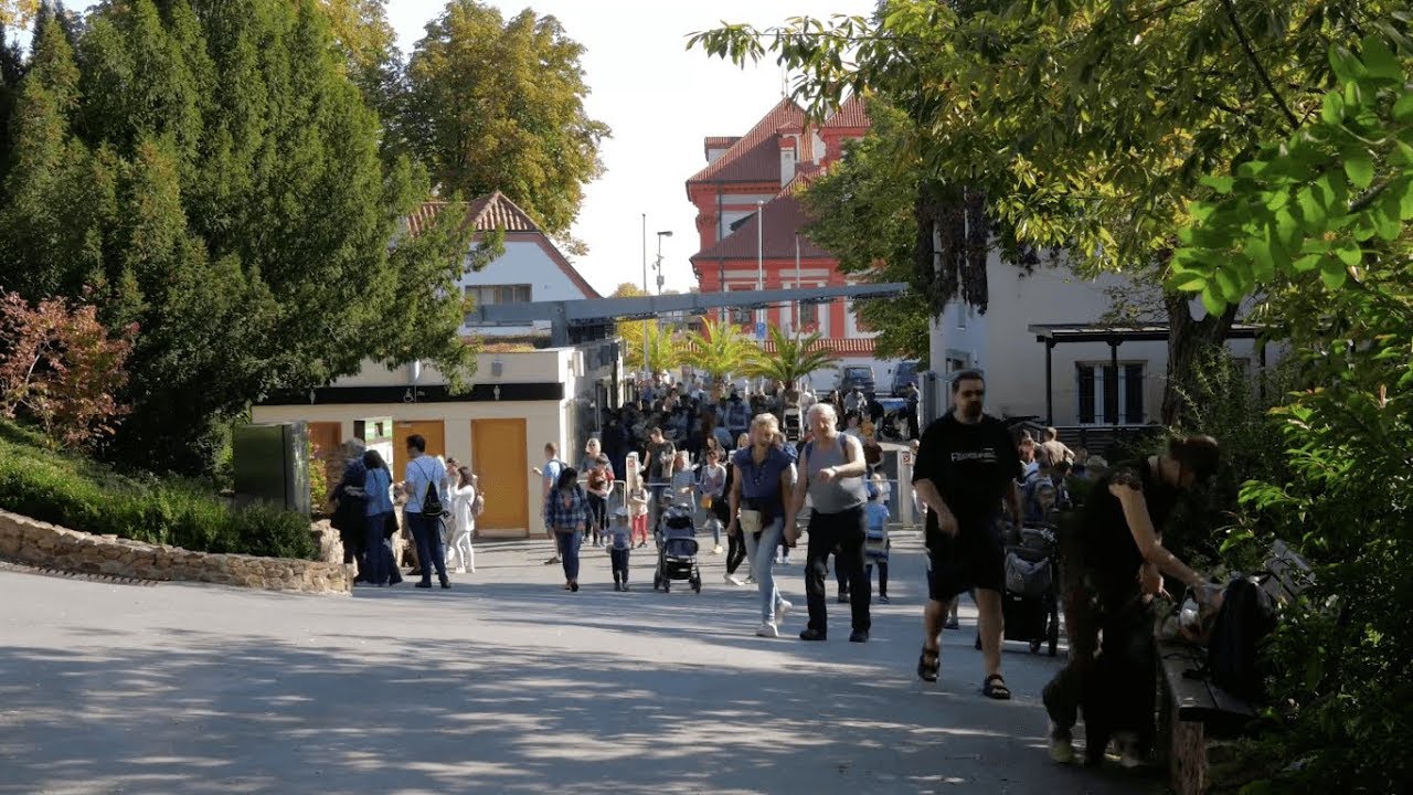 Zoo Praha nab&iacute;z&iacute; neděln&iacute; zv&yacute;hodněn&yacute; vstup