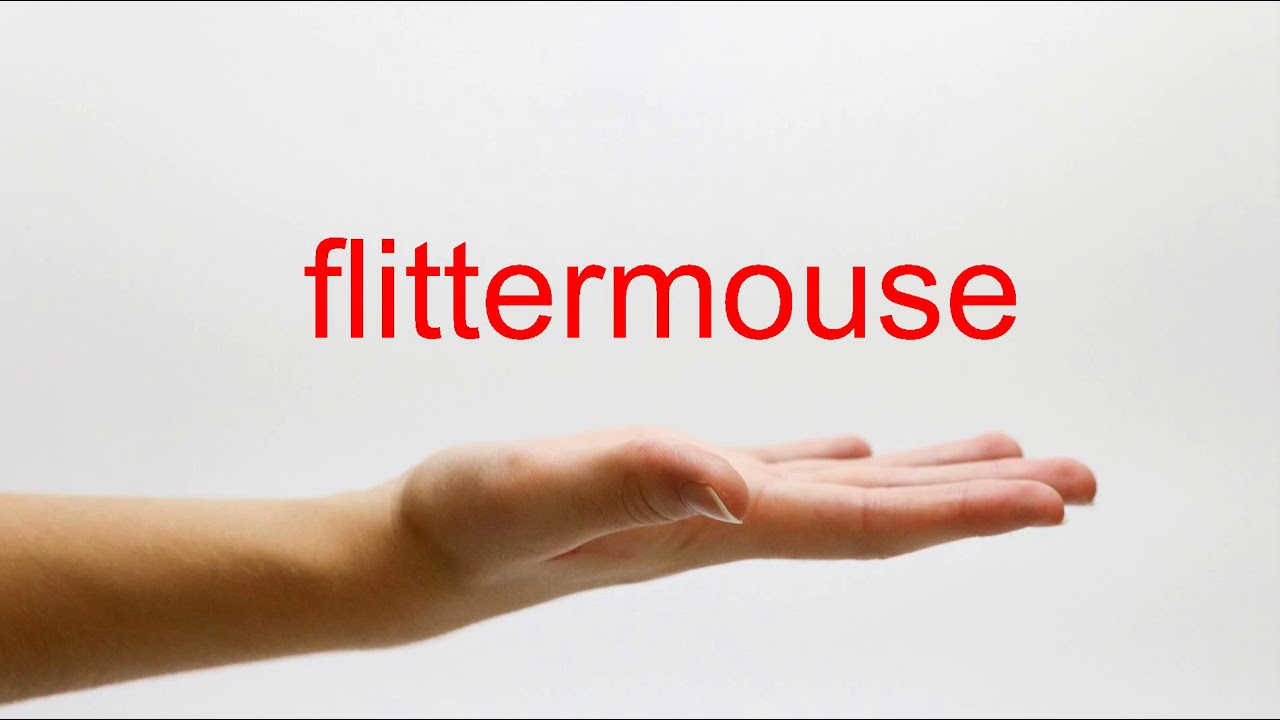 How to Pronounce flittermouse - American English