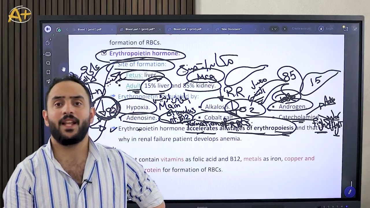 Physiology lec2 (erythropoietin to anaemia) علاج طبيعي اكتوبر