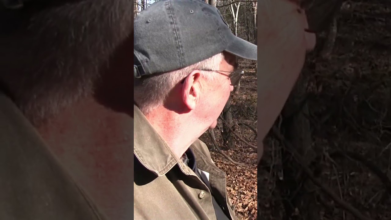 Почему курение марихуаны является федеральным преступлением?