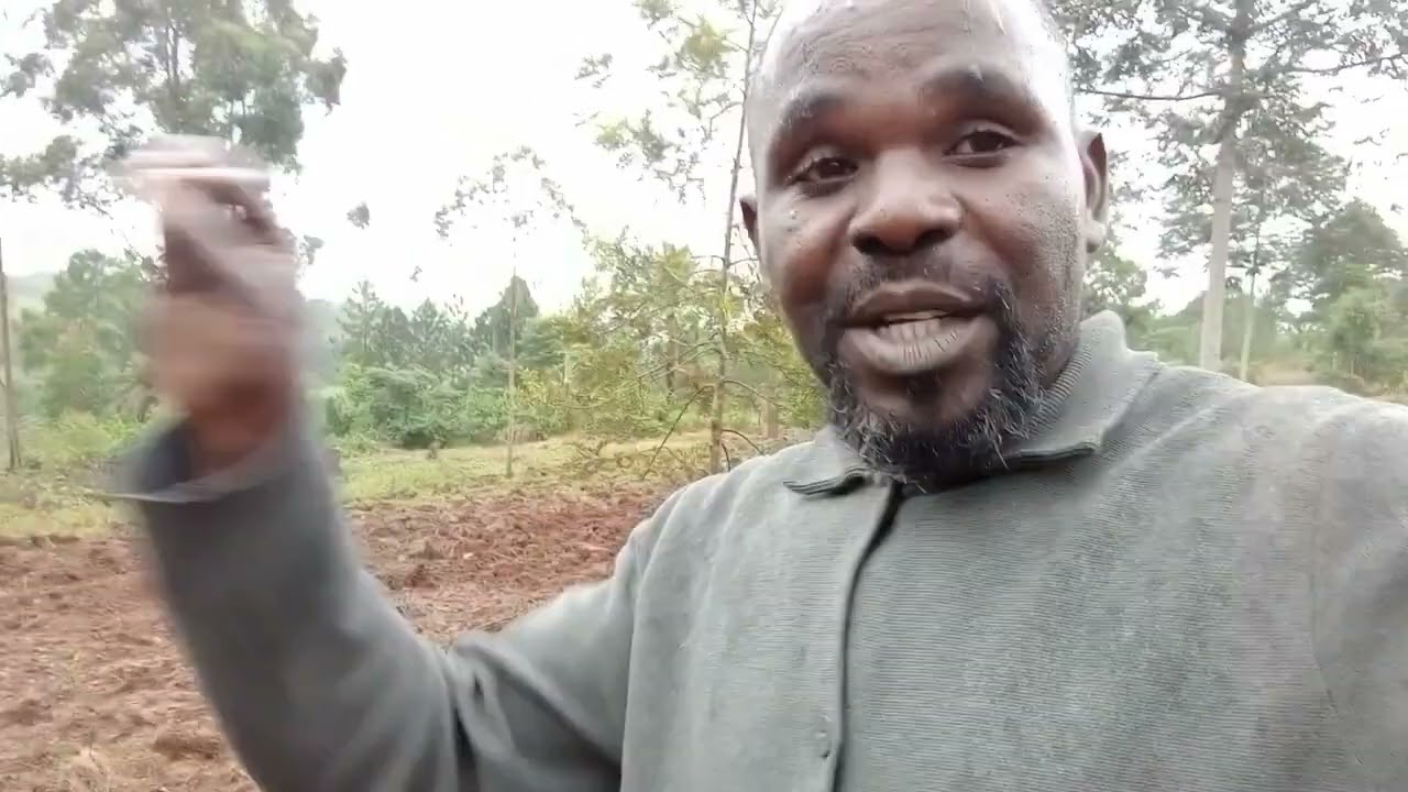 Niliitwa Mwehu//Kuacha Kazi Ya Udaktari Na Kuwa Mkulima