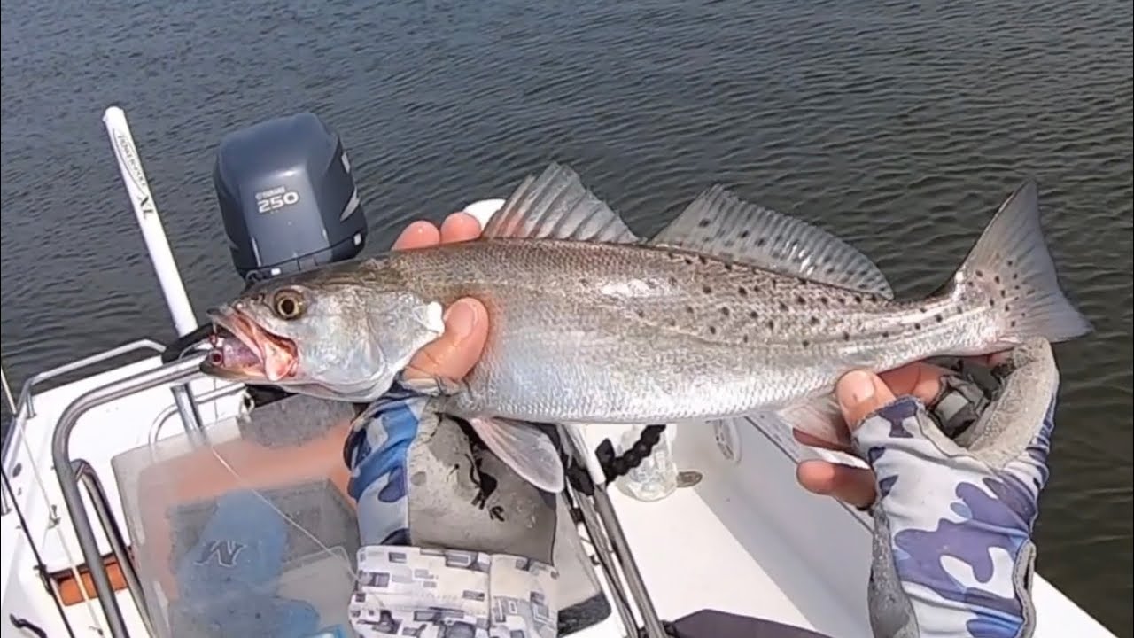 Short Trip Around Gulfport Harbor Caught a Few