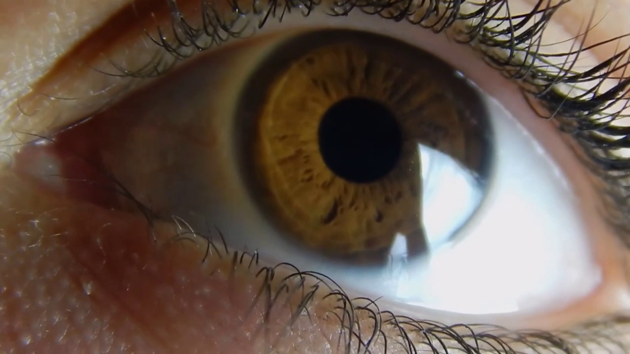 Get Hazel Eyes In 14 Seconds!