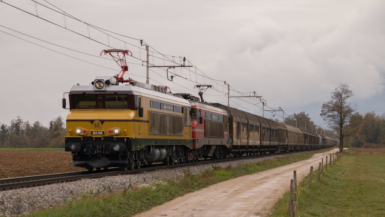 Obremenilna vožnja SŽ 363-005