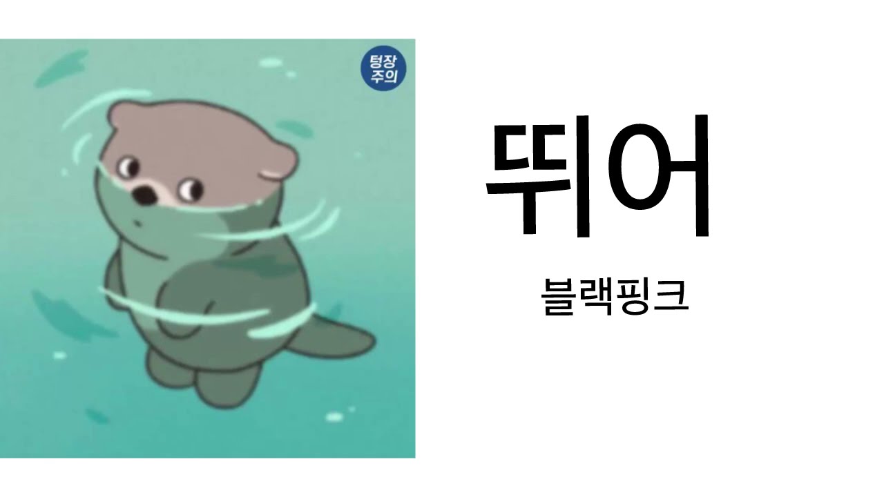 2025 아이돌 램덤플레이댄스