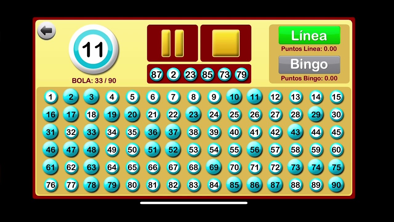 N21 || PARTIDAS DE BINGO EN ESPAÑOL (90 BOLAS)