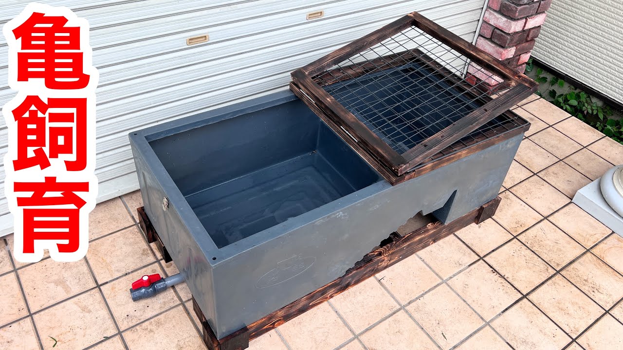 輸入したカメの飼育ケースを改造して最強の飼育環境を作りました