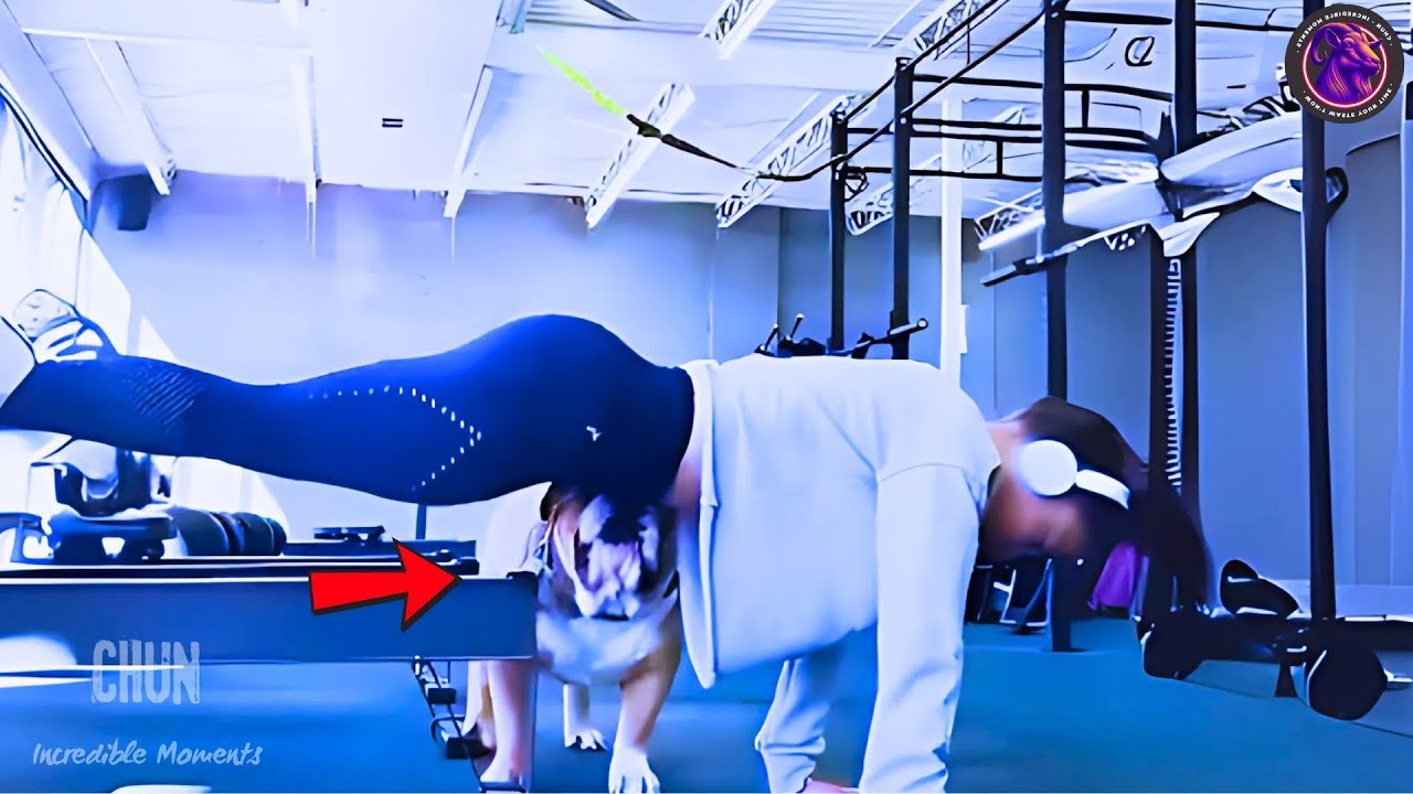 Most Incredible Moments Caught on Camera | Best Compilation #13