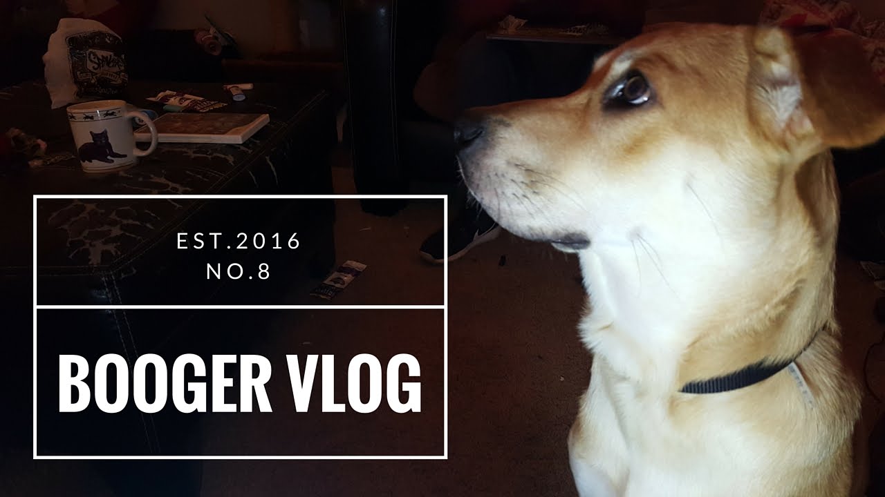 Booger Vlog no.8