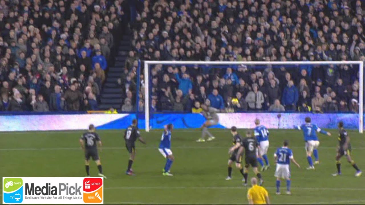 Everton 2012/13 Season Goals + Highlights
