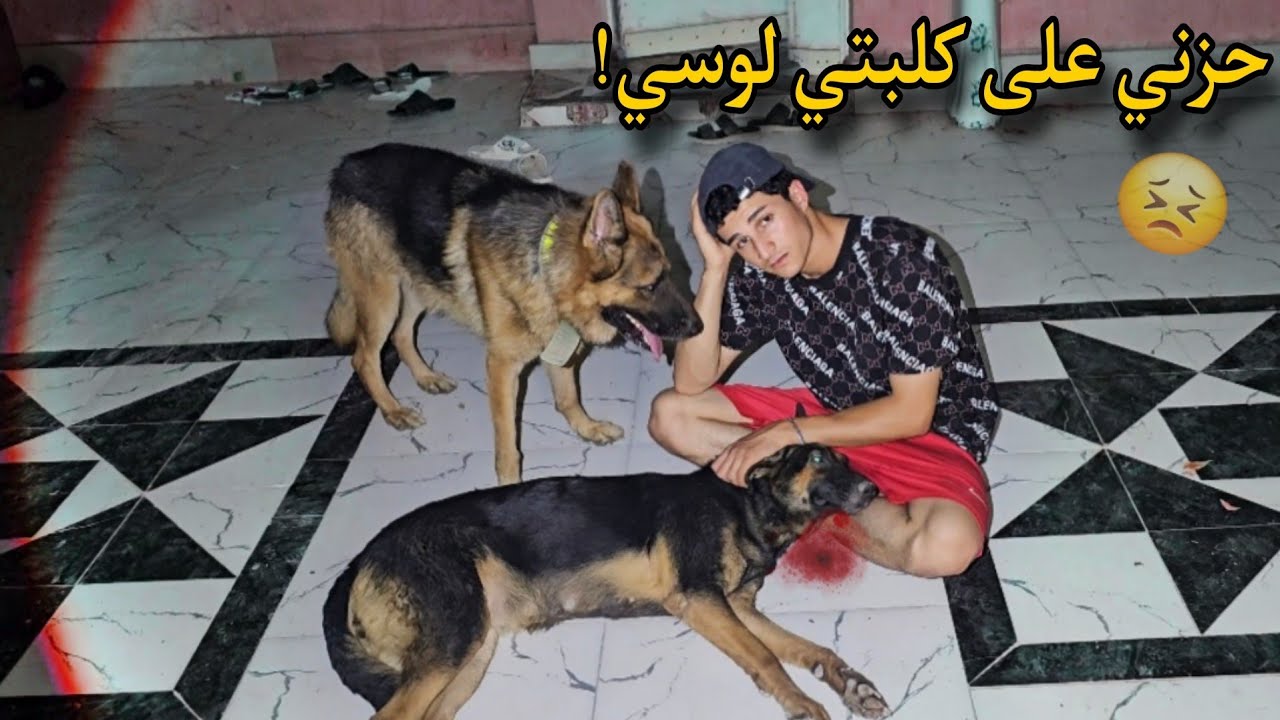 حزني على كلبتي لوسي لمدة 5 أيام | شنو السبب!! صدمة 😓