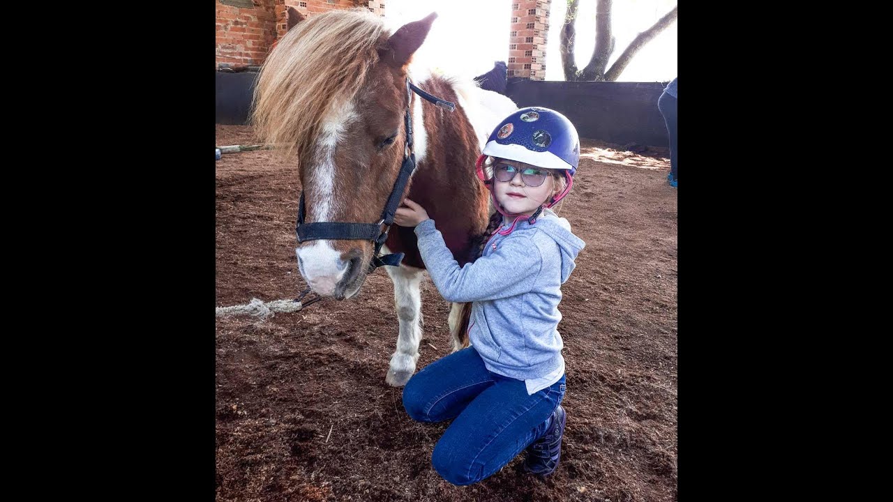 Тренировка Милады 🐎 Centre equestre l'etrier du Lauragais☆Castelnaudary