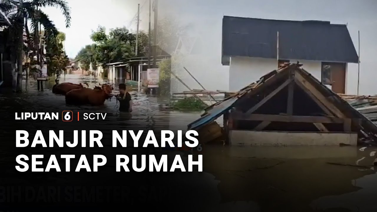 Banjir Nyaris Seatap Rumah | Liputan 6