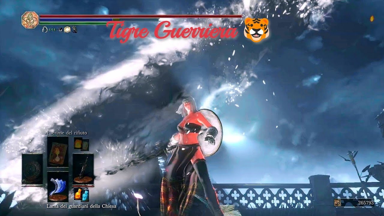 DARK SOULS III 🐯 Double Fight 🛡️⚔️ Church Lancer 🛡️🗡️