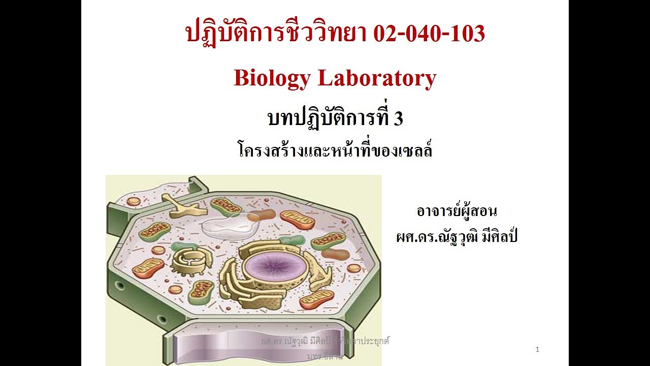 Biology Laboratory (โครงสร้างและหน้าที่ของเซลล์)